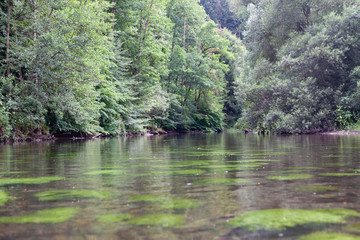 Nagold bei Altensteig