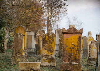 Rear view of vandalised graves with nazi symbols in blue spray-painted on the damaged graves -...