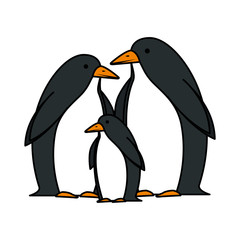 cute penguins birds characters
