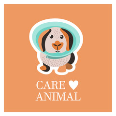 Основные RGB