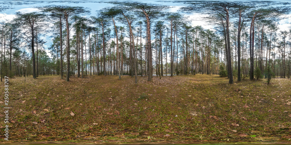 Wall mural full spherical hdri panorama 360 degrees angle view on pedestrian footpath and bicycle lane path in 