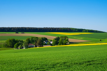 Obraz premium Frühlingslandschaft im Taunus