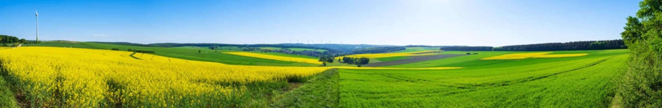 Panoramaaufnahme der Tanuslandschsaft im Fr&uuml;hling