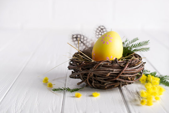 Minimal easter composition. Yellow decorative chicken egg in the nest. Mimosa flowers and feathers. Place for text