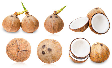 Collection of coconuts isolated.