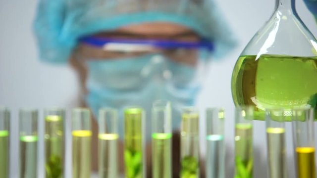 Biologist checking rapeseed extract in flask, biofuel production experiment