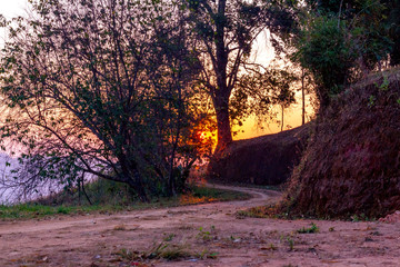 Naklejka premium View of earth trail at morning sunrise.