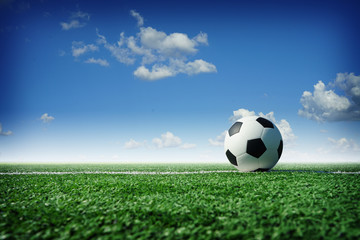 Fototapeta premium soccer field with a ball