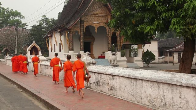 WS Rear view of Buddhist monks walking at Buddhist Temple at Haw Kham / Luang Prabang, Laos
