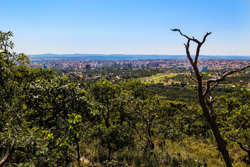 Many people are living in this Brazilian city located in the center of the country.