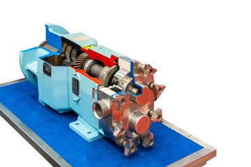 Close up cross section of High technology and quality rotary or lobe gear vacuum pump with gear box...