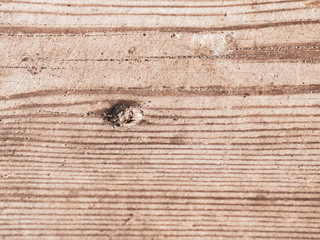 vintage surface wood, rustic grain texture background