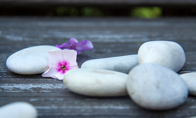 Fototapeta na wymiar spa round sea pebbles and pink flowers on wooden background