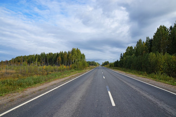 Fototapeta na wymiar Empty country road with old asphalt passing through a forest. View from road. Cloudy day in early autumn. Location - Russia, Karelia