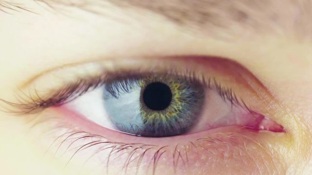 Macro View of Pupil Constriction Process in Human Eye. Constriction of the Iris in Bright Light. The Work of the Pupil in Blinking Eye with Contact with a Larger Amount of Light. Looped Video.