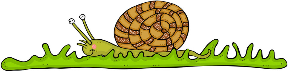 Cute snail on green grass