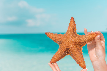 Fototapeta na wymiar Tropical white sand with red starfish in hands background the sea