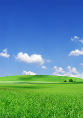 Obraz premium Idyllic view, green hills and blue sky with white clouds