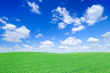 Fototapeta premium Idyllic view, green field and the blue sky with white clouds