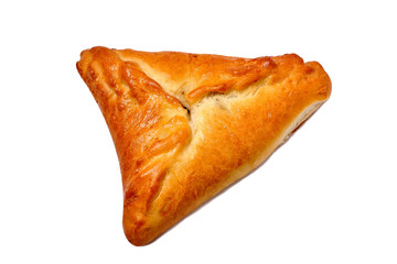 Delicious samosa on white background