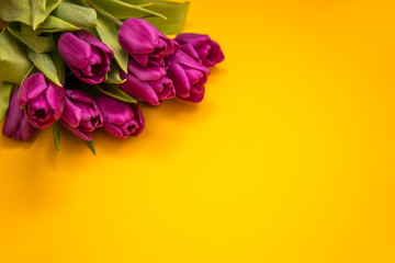 Beautiful bouquet of purple tulips on a yellow background from the upper left. Postcard February 14, Valentine's Day. Flower delivery. March 8, International Women's Day, Birthday, Mother's Day