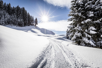 Verschneite Winter Landschaft in den Alpen