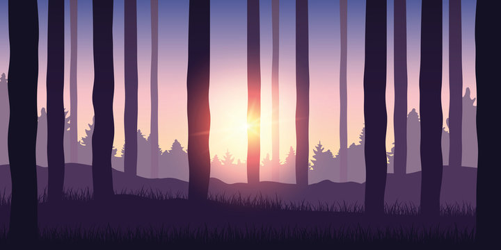 purple forest nature landscape backgound with sunshine vector illustration EPS10