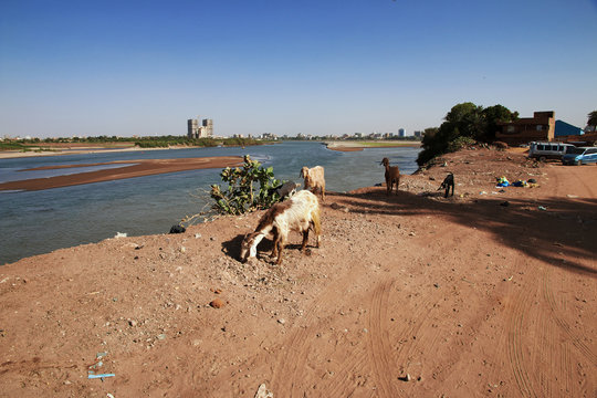 Khartoum Sudan Nubia Nile Arab