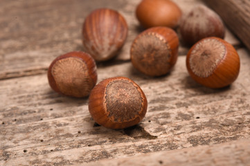Hazelnut