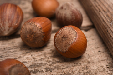 Hazelnut