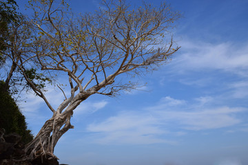 thailand