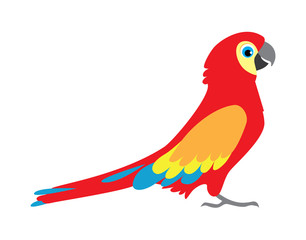 Parrot ara. South American bird cartoon illustration. Flat style icon. Vector image. 