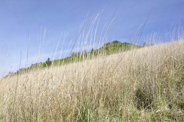扇平のカヤトより望む乾徳山