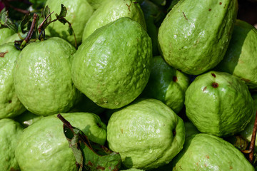 Green Apples