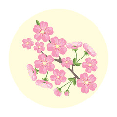 Vector blossom sakura flowers. Greeting card template. Icon with blossoming cherry twig in flat style. Spring flowering.