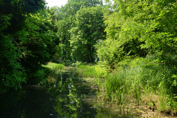 Obraz premium Parklandschaft