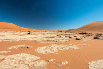Fototapeta na wymiar Namibia Namib desert Deadvlei