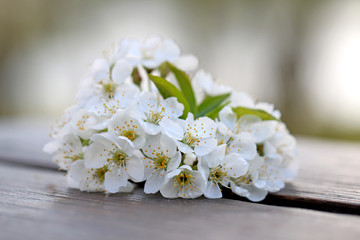 spring flowers for the background, fruit flowers