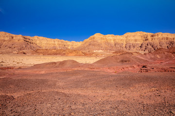 Fototapeta na wymiar View of the desert on a bright sunny day. Timna Park in Arava desert near Eilat, Israel
