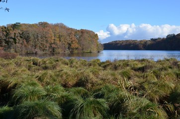 Fototapeta premium Erdre river, Nantes, France, in autumn