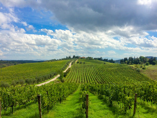 Fototapeta na wymiar Landschaft bei Siena im Chiantigebiet, das Weingut Tenuta di Monaciano