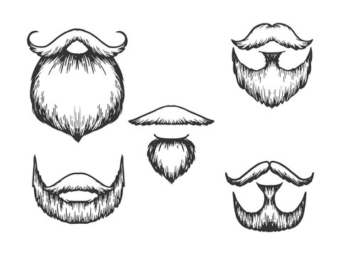 Beard and moustache sketch engraving vector illustration. Scratch board style imitation. Black and white hand drawn image.