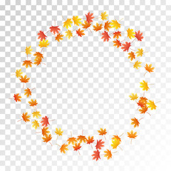 Maple leaves vector illustration, autumn foliage on transparent background.