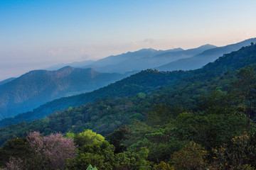 Phu Chee Fah, is a mountain area and national forest park in Thailand 