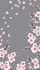 Rose on transparent fond. Theme design textiles, wallpaper, packaging, printing, story. Handmade background in the Japanese style. Spring frame vertical of sakura flowers.