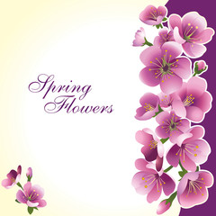 Spring flowers on a beige background.