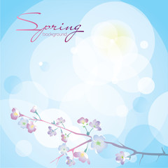 Blue background with spring flowers