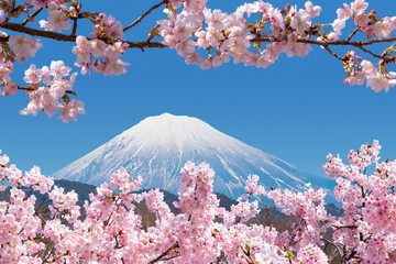 桜づくしの富士山（合成）　伊東小室桜　静岡市