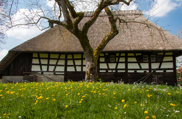 Bauernhaus im Freilichtmuseum Kürnbach bei Bad Schussenried