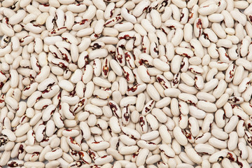 White spotted beans texture